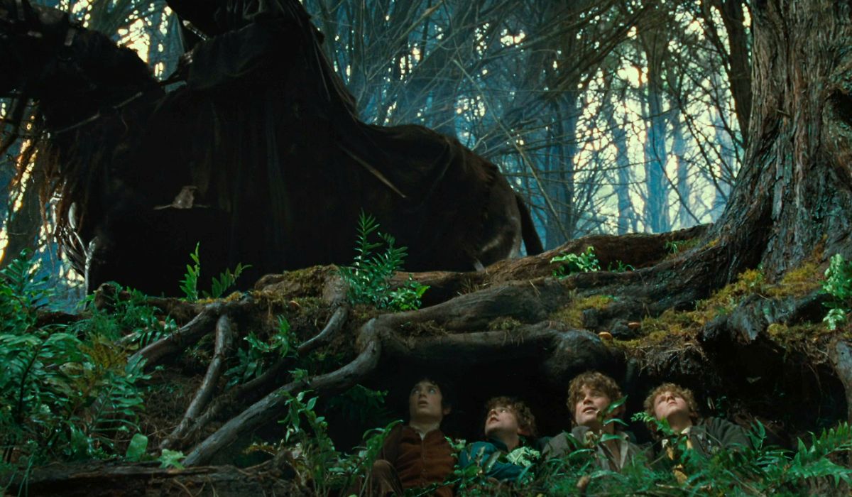 un atajo hacia los hongos la comunidad del anillo